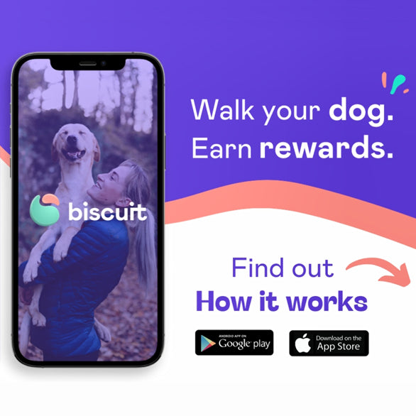 Make Fetch Happen, with Biscuit