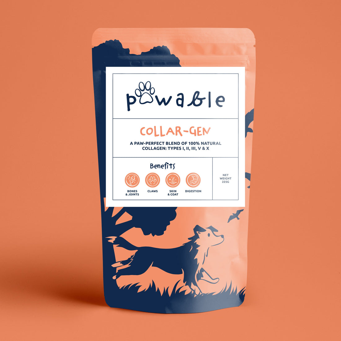 Introducing Our New Recycable Packaging