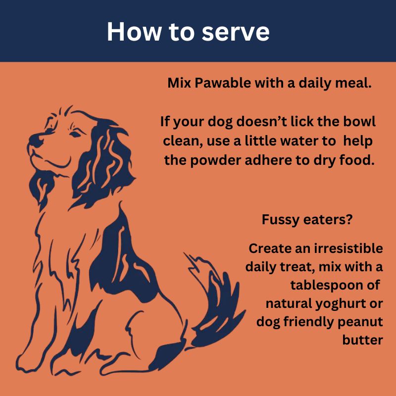 How to serve Pawable Collagen for Dogs illustration.