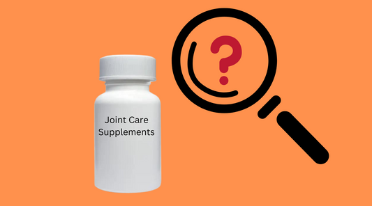 What’s Missing From Your Dog’s Joint Supplement?