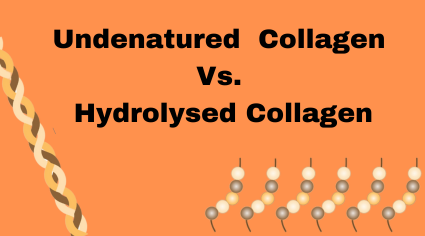 YuMOVE Alternative: What Collagen Is Best for Dogs? Undenatured UC-II or Hydrolysed Collagen Peptides