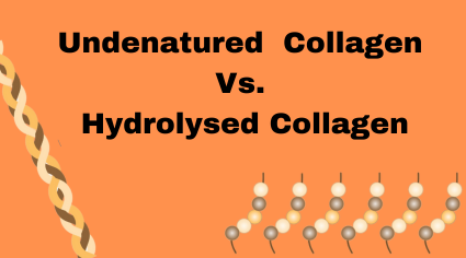 What collagen is best for dogs? Undenatured UC-II or hydrolysed collagen peptides?