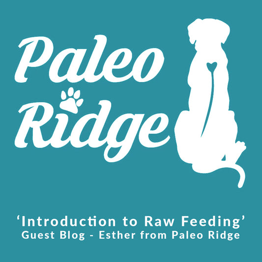 An Introduction to Raw Feeding (Guest Blog - Esther from Paleo Ridge)