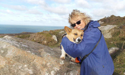 Corgi Back To Enjoying Walks With This Solution