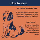 How to serve Pawable Collagen for Dogs illustration.