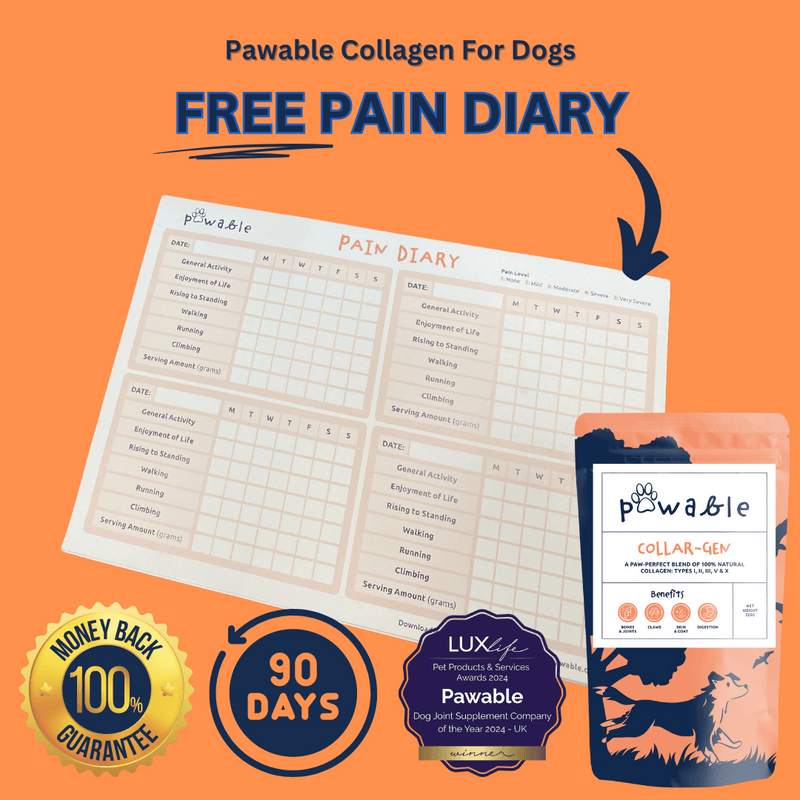 Pawable Collagen for Dogs Free Pain Diary.