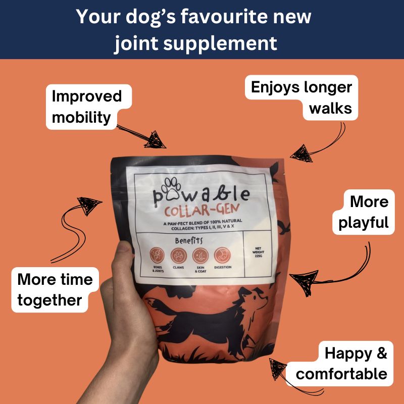 Packet of Pawable Collagen for Dogs (COLLAR-GEN) showing benefits like improved mobility, longer walks, and joint support.