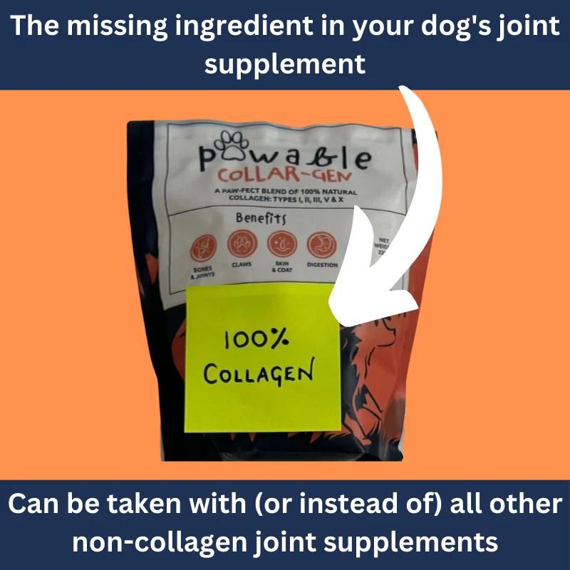 Pawable 100% Collagen for Dogs packet can be taken with or instead of other non-collagen supplements.