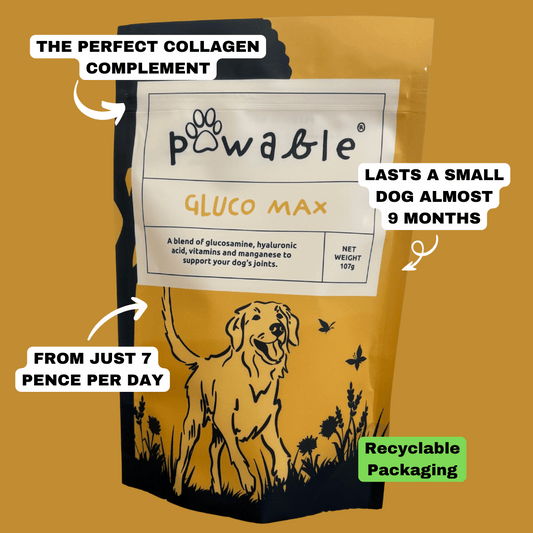 GLUCO MAX