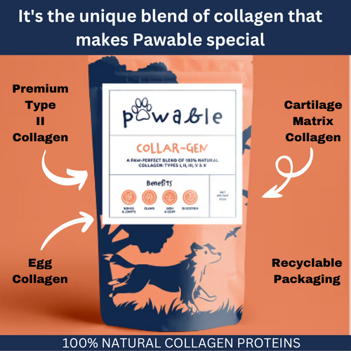 Best collagen supplement for 2024 dogs